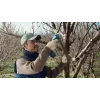 Bosch Pro Pruner Professional kabellose Grasschere 2,5 cm 12 V Lithium-Ionen (Li-Ion) Blau
