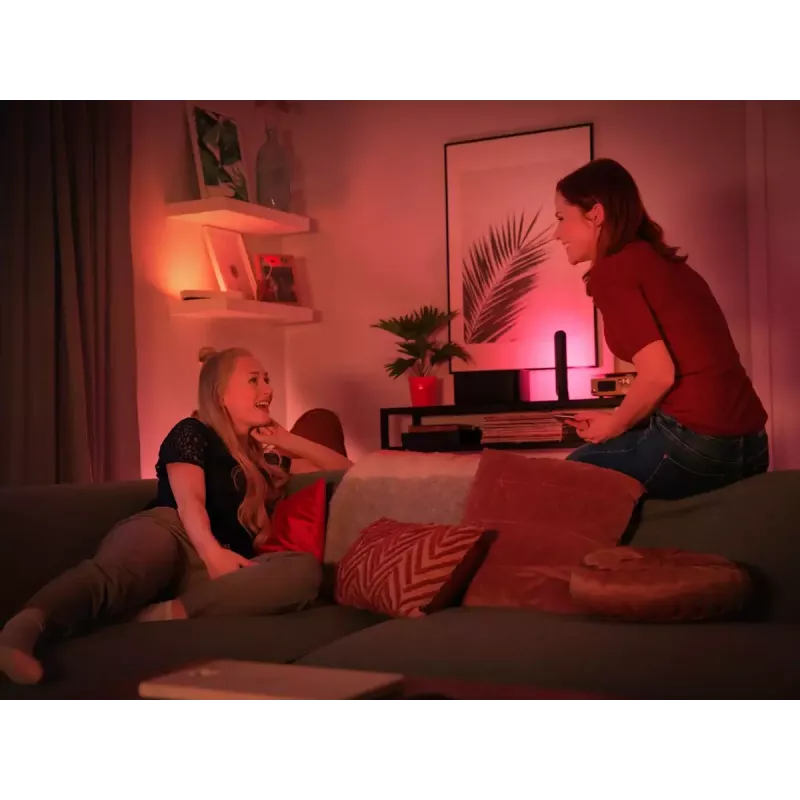 Philips Hue White and Colour Ambience Play Light Bar Doppelpack