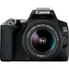 Canon EOS 250D + EF-S 18-55mm f/3.5-5.6 III SLR Kamera Kit 24,1 MP CMOS 6000 x 4000 Pixel Schwarz