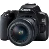 Canon EOS 250D + EF-S 18-55mm f/3.5-5.6 III SLR Kamera Kit 24,1 MP CMOS 6000 x 4000 Pixel Schwarz