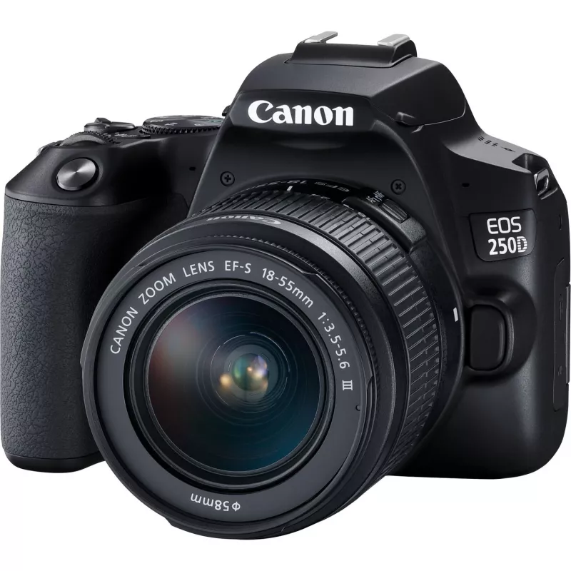 Canon EOS 250D + EF-S 18-55mm f/3.5-5.6 III SLR Kamera Kit 24,1 MP CMOS 6000 x 4000 Pixel Schwarz