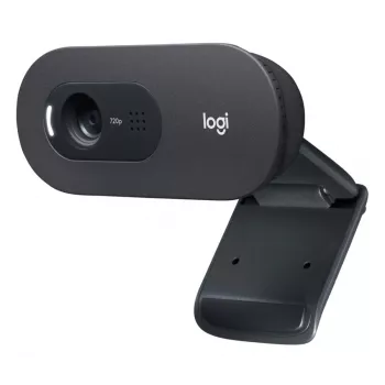 LOGITECH C505e Webcam USB Schwarz