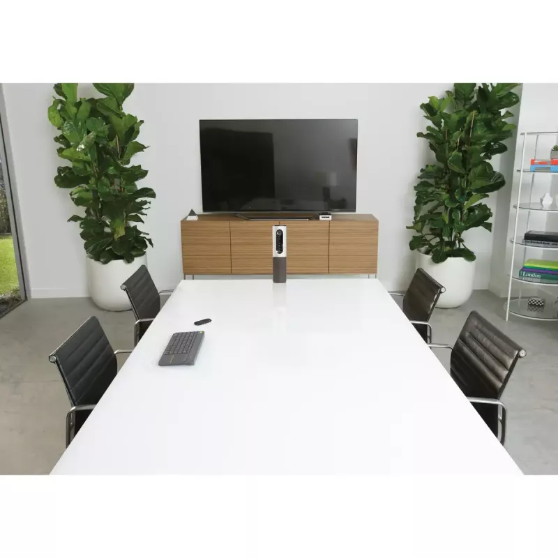 LOGITECH Conferencecam Connect All-in-One Videokonferenz Silber