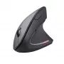 Trust Verto Maus Büro Rechtshänder RF Wireless Optisch 1600 DPI