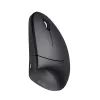 Trust Verto Maus Büro Rechtshänder RF Wireless Optisch 1600 DPI