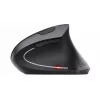 Trust Verto Maus Büro Rechtshänder RF Wireless Optisch 1600 DPI