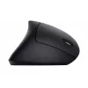 Trust Verto Maus Büro Rechtshänder RF Wireless Optisch 1600 DPI