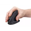 Trust Verto Maus Büro Rechtshänder RF Wireless Optisch 1600 DPI