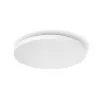 Philips Hue White and colour ambience Datura Deckenleuchte Groß