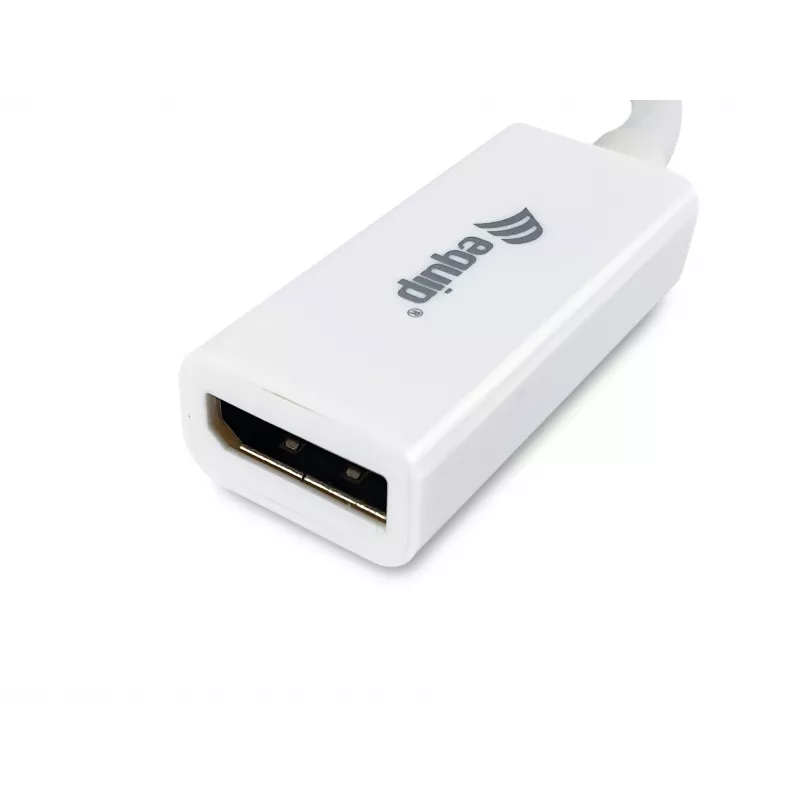 Mini DisplayPort auf DisplayPort Adapter Equip 133440