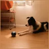 Überwachungsroboter Enabot EBO AIR 2 – mobile Heimkamera, pink