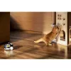 Überwachungskamera Enabot Family Robot IP-Kamera ROLA PetPal WH287304