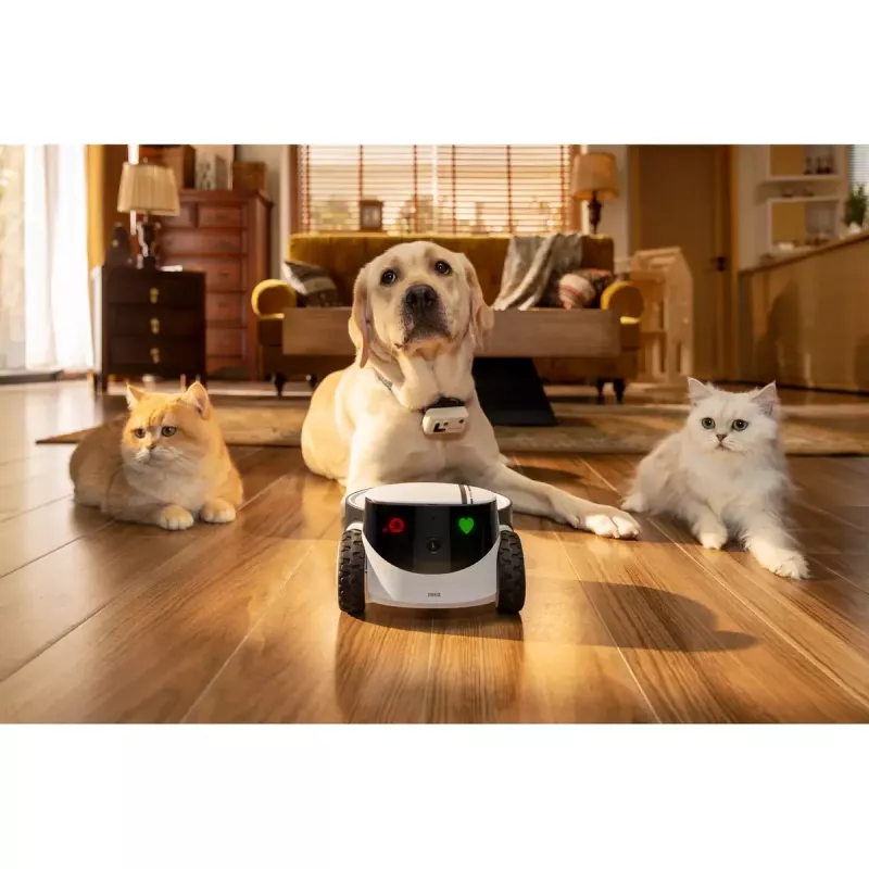 Überwachungskamera Enabot Family Robot IP-Kamera ROLA PetPal WH287304