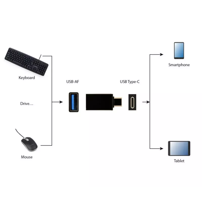 USB-Grafikadapter Gembird A-USB3-CMAF-01 — USB Type-C auf USB (USB 2.0 / 3.2 Gen 1), kompakt schwarz