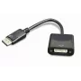 GEMBIRD DisplayPort auf DVI Adapterkabel – Schwarz
