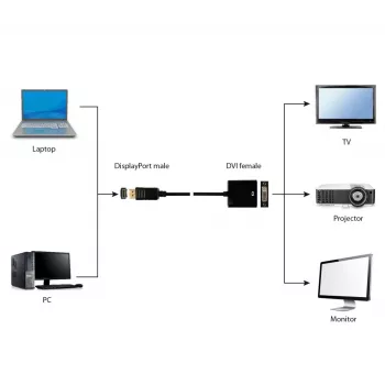 GEMBIRD DisplayPort auf DVI Adapterkabel – Schwarz
