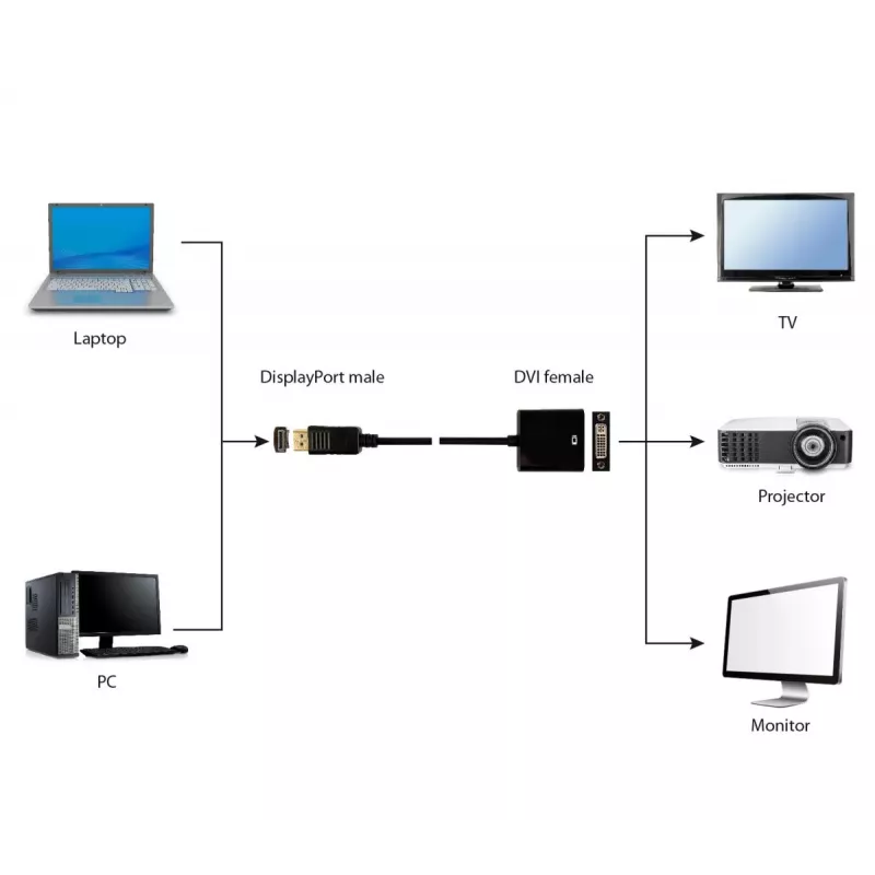 GEMBIRD DisplayPort auf DVI Adapterkabel – Schwarz