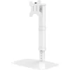 Techly ICA-LCD 260 Monitorhalterung / Ständer 68,6 cm (27 Zoll) Schreibtisch Weiß