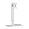 Techly ICA-LCD 260 Monitorhalterung / Ständer 68,6 cm (27 Zoll) Schreibtisch Weiß