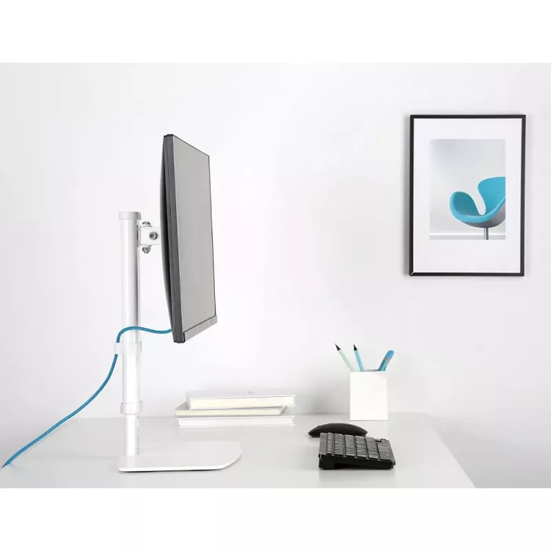 Techly ICA-LCD 260 Monitorhalterung / Ständer 68,6 cm (27 Zoll) Schreibtisch Weiß