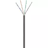 Techly ITP7-UTP-0100LO Netzwerkkabel Schwarz 100 m Cat5e U/UTP (UTP)