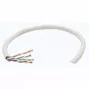 Intellinet Network Bulk Cat6 Kabel, 23 AWG, Massivdraht, 305 m, Grau, CCA, U/UTP, Box