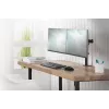 DIGITUS Univer.dual Monitor Clamp Mount 17-32in 2x 8kg (max.) Schwarz