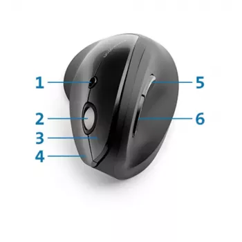 Maus Kensington Pro Fit Ergo Vertical Wireless RF Wireless