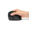 Maus Kensington Pro Fit Ergo Vertical Wireless RF Wireless