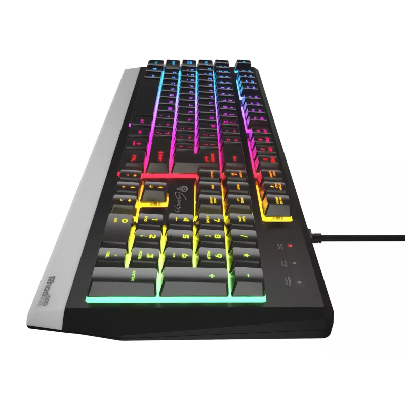 GENESIS Rhod 300 RGB Tastatur Gaming USB QWERTY Englisch Schwarz