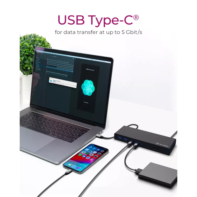 ICY BOX IB-DK2245AC Kabelgebunden USB 3.2 Gen 1 (3.1 Gen 1) Type-C Schwarz