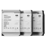SYNOLOGY Festplatte HAS530012T - 12TB - SAS 12Gb/s - 3,5 Zoll - 7200 U/min