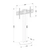 Boden-TV-Ständer TECHLY ICA-TR27 für 32–55 Zoll (81,3–139,7 cm), VESA 100x100–600x400, Neigung -15–0°, max. Belastung 40 kg, schwarz