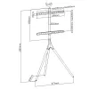 Boden-TV-Ständer TECHLY ICA-TR18SAM für 45 Zoll–65 Zoll (114,3–165,1 cm), VESA 200x200–600x400, Tragfähigkeit 32 kg, Walnuss
