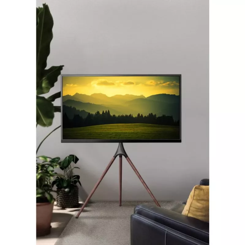 Boden-TV-Ständer TECHLY ICA-TR18SAM für 45 Zoll–65 Zoll (114,3–165,1 cm), VESA 200x200–600x400, Tragfähigkeit 32 kg, Walnuss