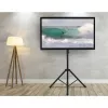 Techly Universal Bodenstativ für 17-60 Zoll Fernseher