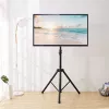 Techly Universal Bodenstativ für 17-60 Zoll Fernseher