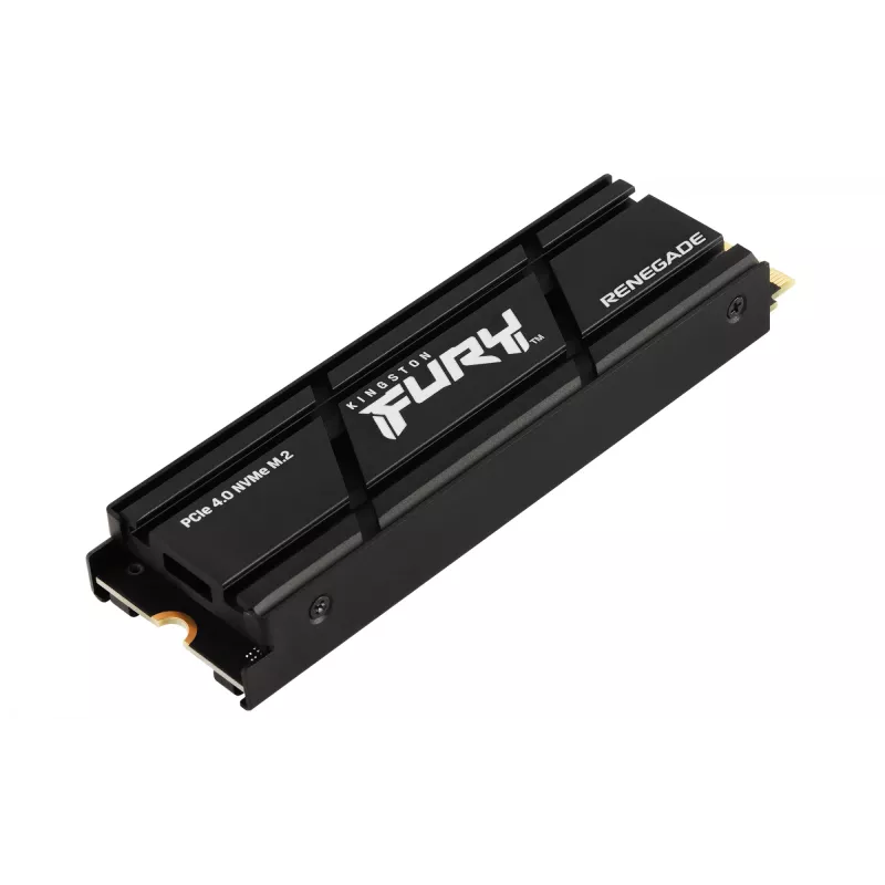 SSD-Festplatte Kingston Technology 4TB M.2 PCIe 4.0 RENEGADE