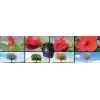 Kompaktkamera Technaxx TX-164 2 MP CMOS 1920 x 1080 Pixel Schwarz