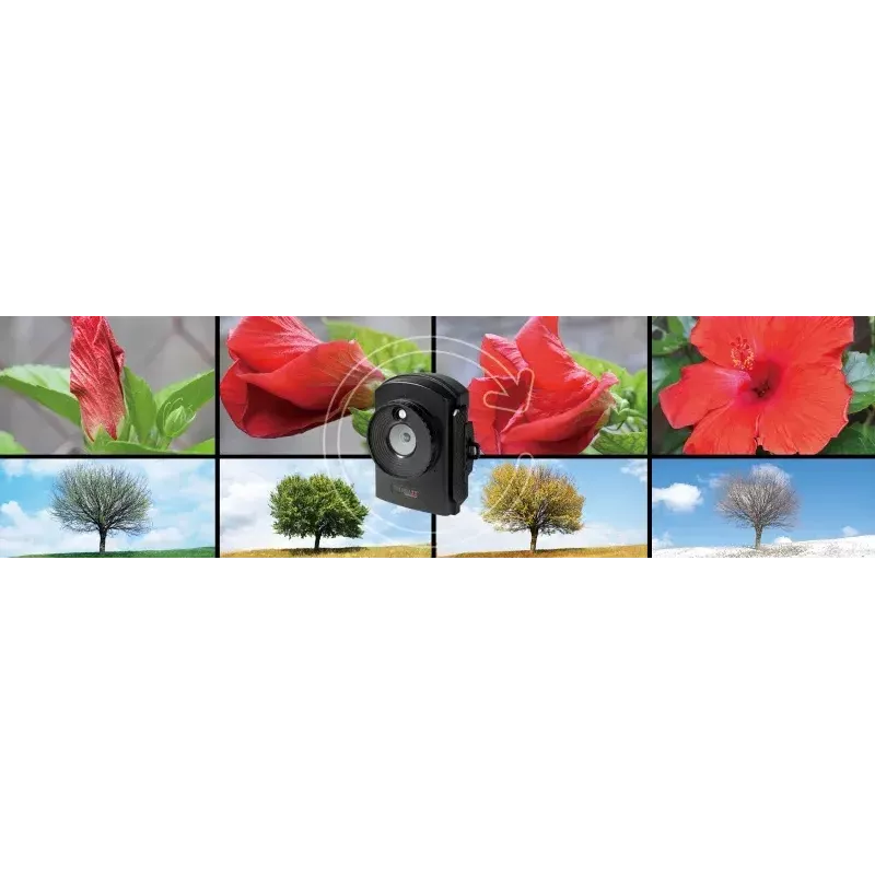 Kompaktkamera Technaxx TX-164 2 MP CMOS 1920 x 1080 Pixel Schwarz