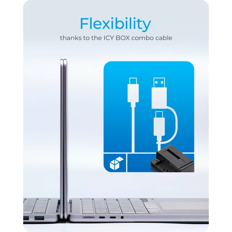 ICY BOX IB-2914MSCL-C31 USB 3.2 Gen 2 (3.1 Gen 2) Type-C Schwarz