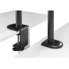 Monitorhalterung Gembird MA-DA-03 für 32-Zoll-Bildschirme, Tischklemme/Durchführung, Doppelarm, VESA 75x75–100x100, schwarz