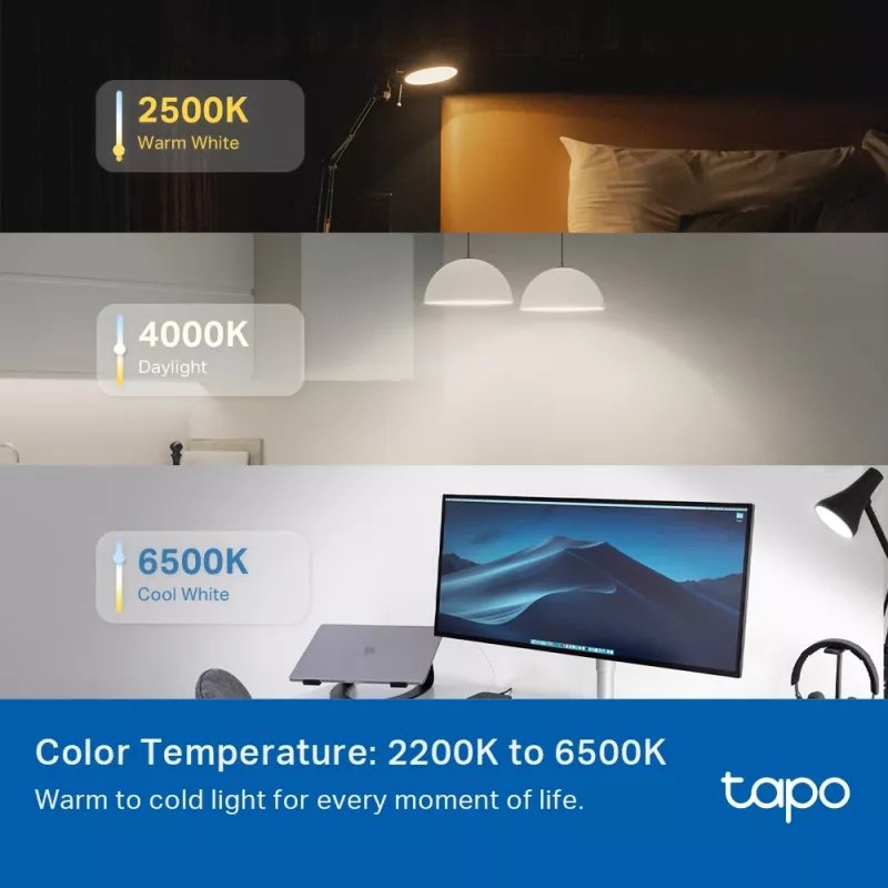 TP-Link Tapo Smart Light Bulb, Multicolor,Matter, Smart bulb, Wi-Fi/Bluetooth, White, 802.11b, 802.11g, Wi-Fi 4 (802.11n), WPA-PSK, WPA2-PSK, WPA3-SAE, LED