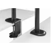GEMBIRD Schreibtischhalterung für einen Monitor, 17–32 Zoll