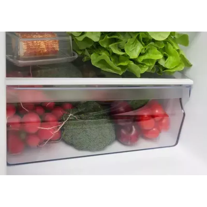 Amica KGCL 384 155 W Freistehender Kühlschrank 157 L