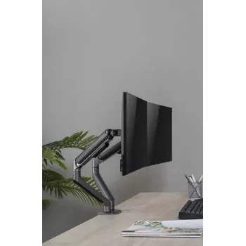 GEMBIRD Verstellbare, am Schreibtisch montierte Doppel-Monitorhalterung, Space Grey
