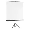 Hama 00021574 Projektionsleinwand 2,19 m (86,2 Zoll) 1:1