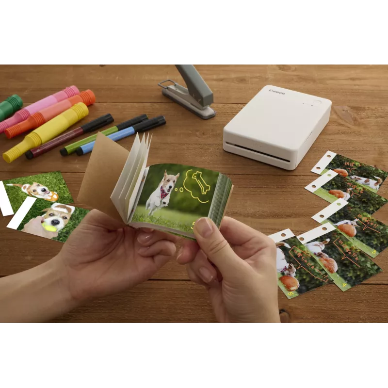 Canon SELPHY QX20 RD Fotodrucker Farbsublimation 287 x 287 DPI 7,2 x 8,5 cm WLAN