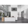 Neomounts WL35-750BL14 Schwerlast-Wandhalterung 42-75 Zoll - neigbar - abschließbar - schnelle Installation - TÜV