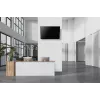 Neomounts WL35-750BL14 Schwerlast-Wandhalterung 42-75 Zoll - neigbar - abschließbar - schnelle Installation - TÜV